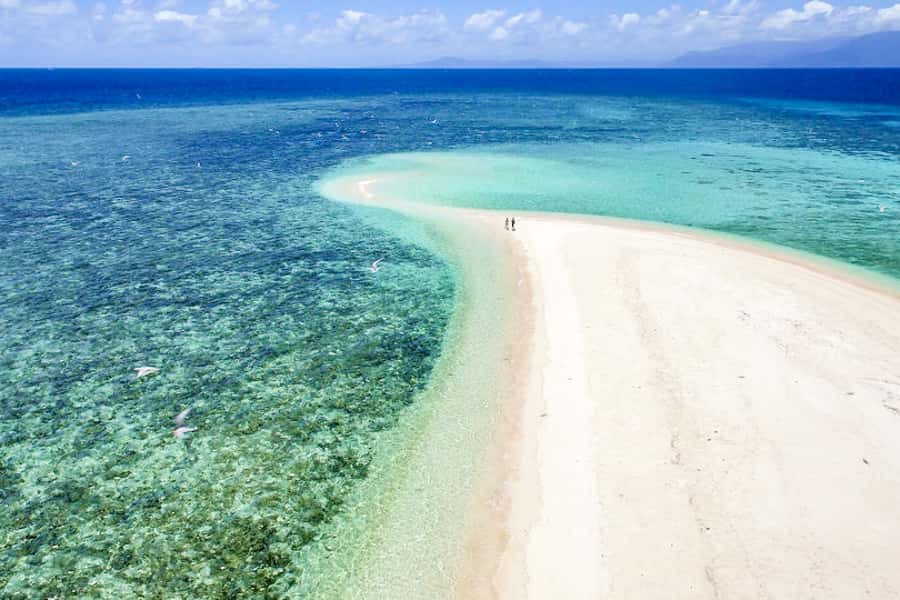 From Port Douglas: Outer Reef Cruise by Luxury Catamaran - Second reef site and the glass-bottom option