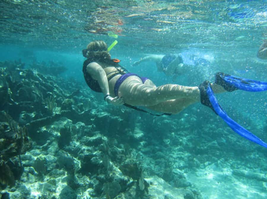 From Puerto Aventuras: Share Catamaran Tour - The Return Along the Riviera Maya