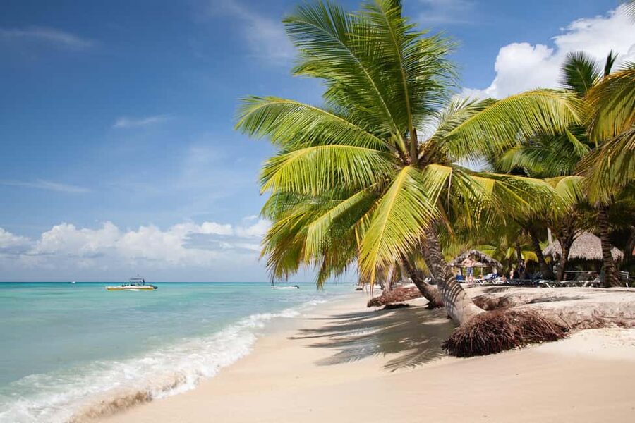 From Punta Cana: Catamaran Tour to Saona Island with Open Bar and Buffet - Why Saona makes a strong day trip from Punta Cana