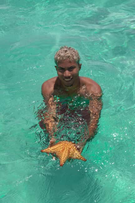 From Punta Cana: Catamaran Tour to Saona Island with Open Bar and Buffet - The natural pool stop and its starfish