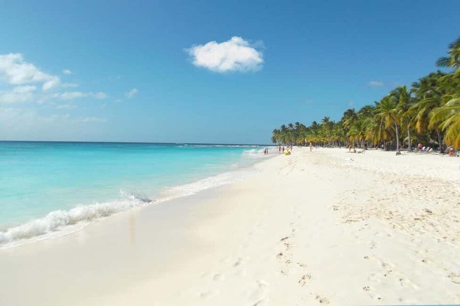 From Punta Cana: Catamaran Tour to Saona Island with Open Bar and Buffet - A Dominican buffet lunch on the beach