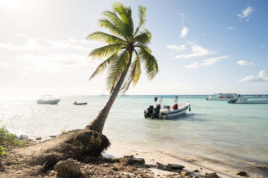 From Punta Cana: Catamaran Tour to Saona Island with Open Bar and Buffet - The early transfer to Bayahibe