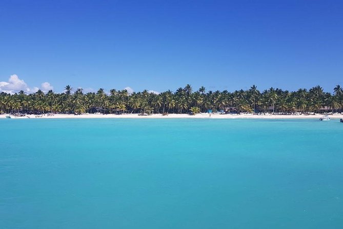 From Punta Cana: Saona Island Full Day For Small Group Catamaran - Lunch and the open bar