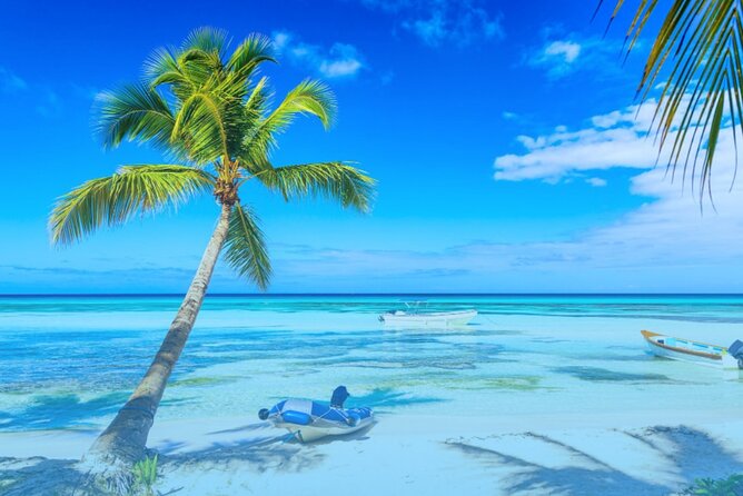 From Punta Cana: Saona Island Full Day For Small Group Catamaran - Fitness, boat conditions, and what to bring