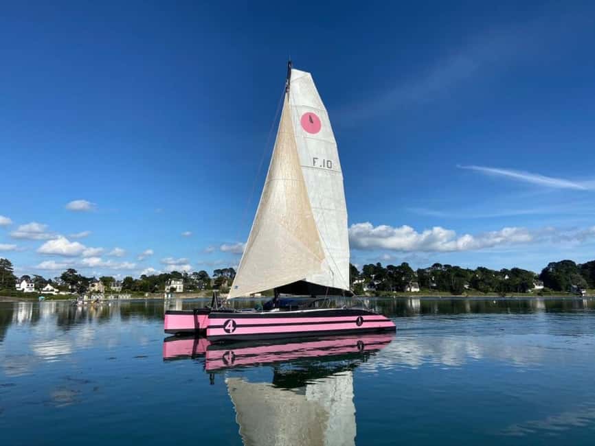 From Quiberon: Ile aux Moines Catamaran Sailing Adventure - Who should book this nine-hour outing