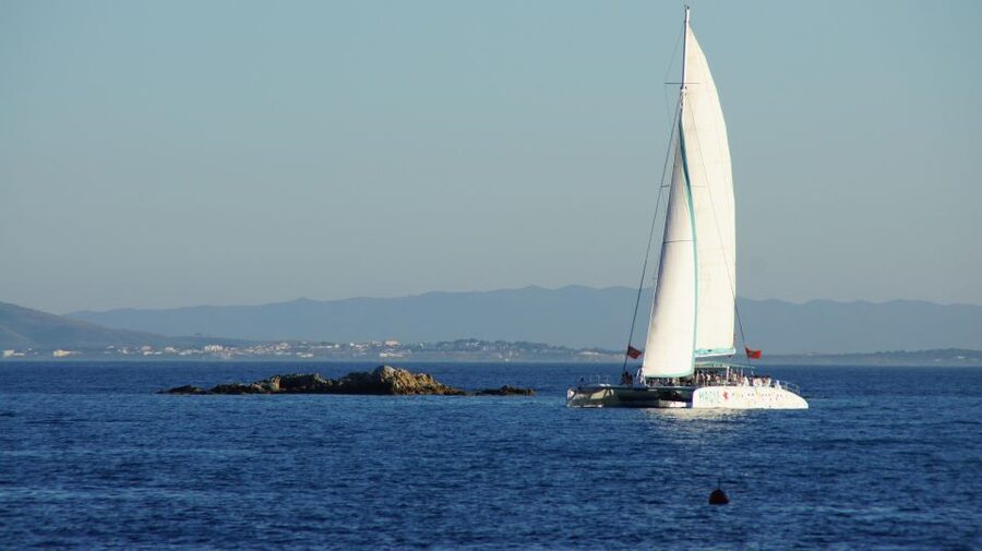 From Roses: Sunset Catamaran Cruise - Sangria, Cava, and the mood onboard