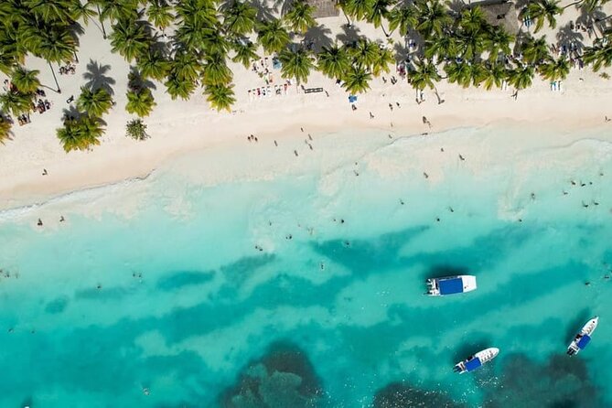 From Santo Domingo Saona Island Food And Drink Catamaran Vip - Why Saona Island makes this a big day out