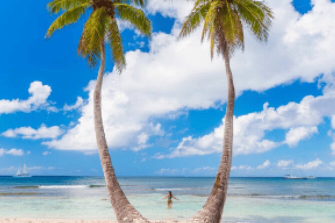 From Santo Domingo Saona Island Food And Drink Catamaran Vip - Lunch, rum, soda, and the ride home
