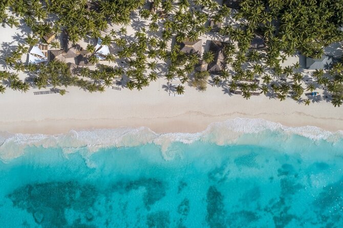From Santo Domingo Saona Island Food And Drink Catamaran Vip - How the $95 price works in practice