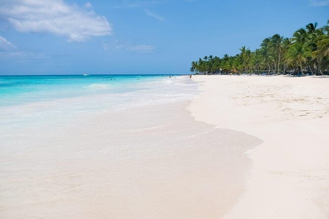 From Santo Domingo: Saona Island For Small Group Catamaran - The catamaran ride back to Santo Domingo