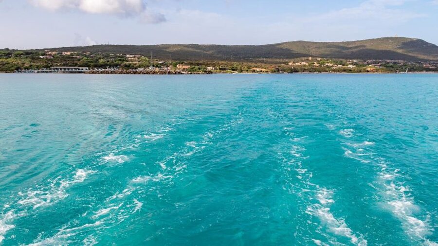 From Stintino: Catamaran tour to Asinara Island - Should You Book the Asinara Catamaran Tour?