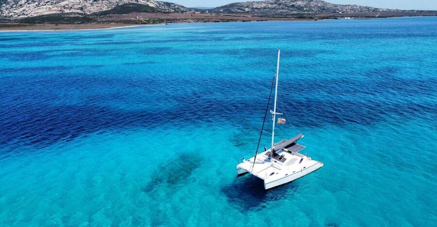 From Stintino: Catamaran tour to Asinara Island - Sun, Wind, and the July-August Reality
