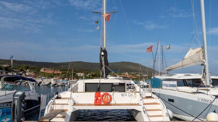 From Stintino: Catamaran tour to Asinara Island - Who Will Enjoy This Day Most