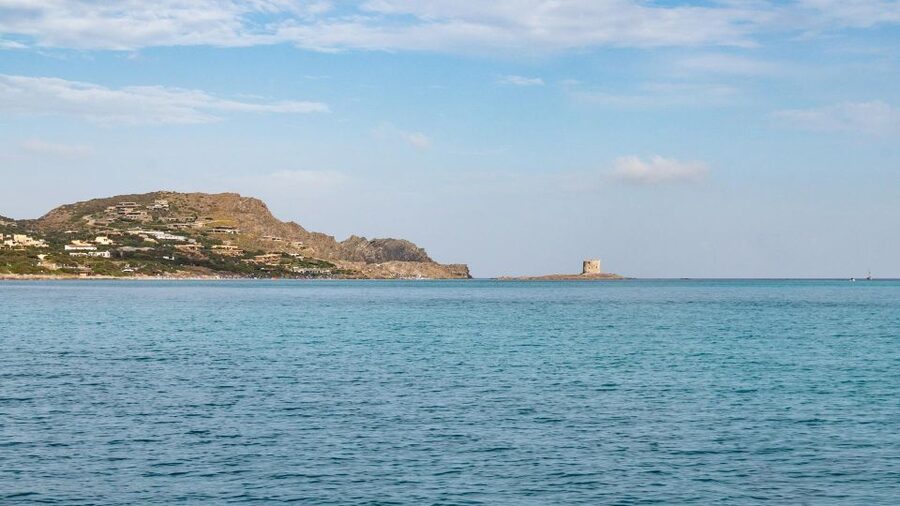 From Stintino: Catamaran tour to Asinara Island - Is $134.81 a Fair Price?