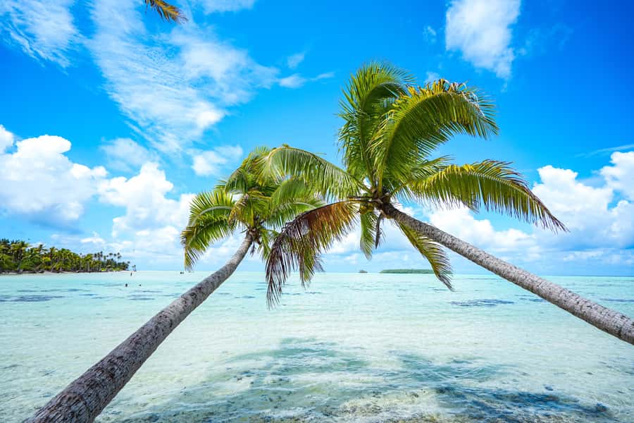 From Tahiti: Tetiaroa Island Tour by Sailing Catamaran - Why Tetiaroa Is Worth the Long Crossing