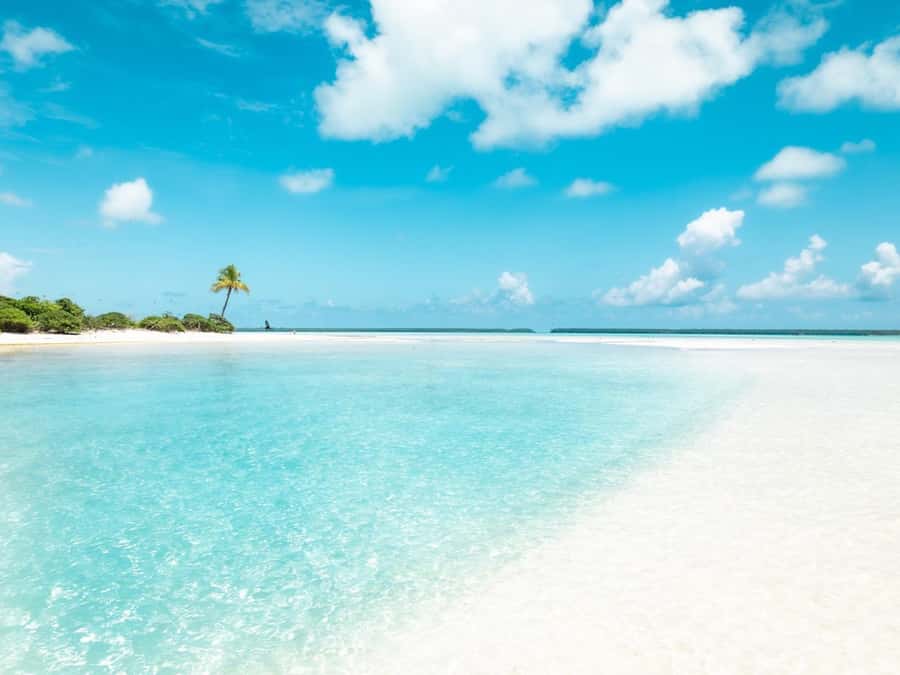 From Tahiti: Tetiaroa Island Tour by Sailing Catamaran - Is $227 a Fair Price?