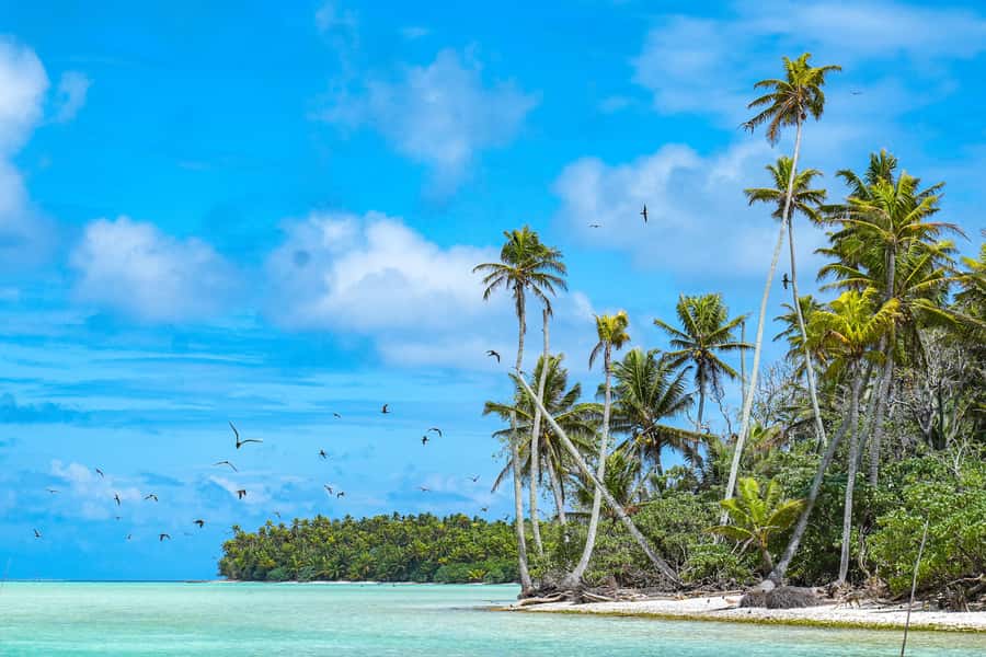 From Tahiti: Tetiaroa Island Tour by Sailing Catamaran - Landing by Dinghy on Tetiaroa