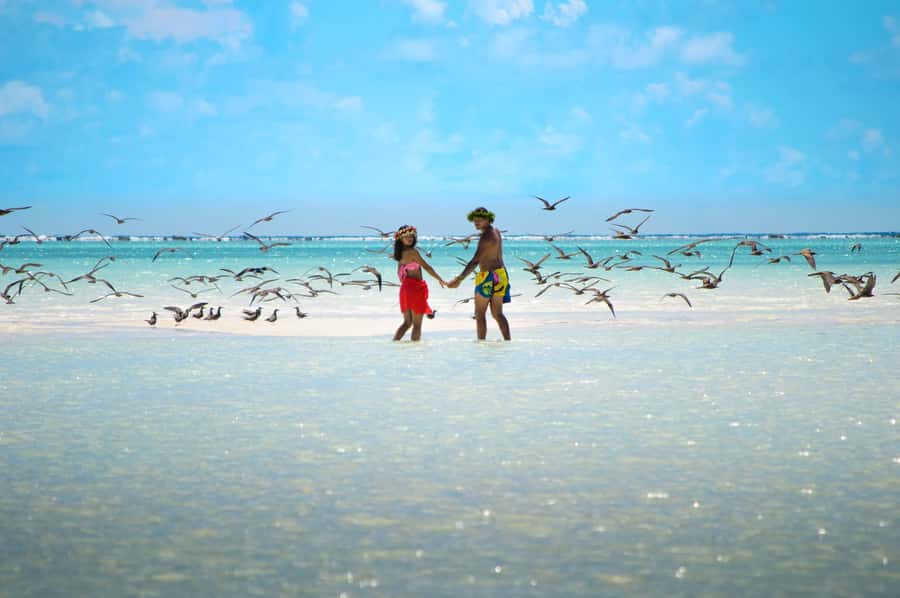 From Tahiti: Tetiaroa Island Tour by Sailing Catamaran - Free Time for Swimming, Photos, and Rest