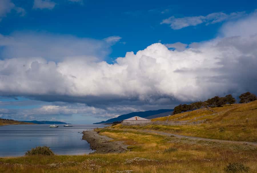 From Ushuaia: Penguin Watching Tour by Catamaran - Watching Magellanic penguins on Martillo Island