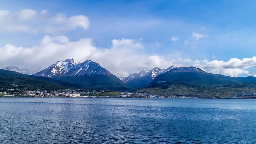 From Ushuaia: Penguin Watching Tour by Catamaran - Should you book the Martillo Island cruise?