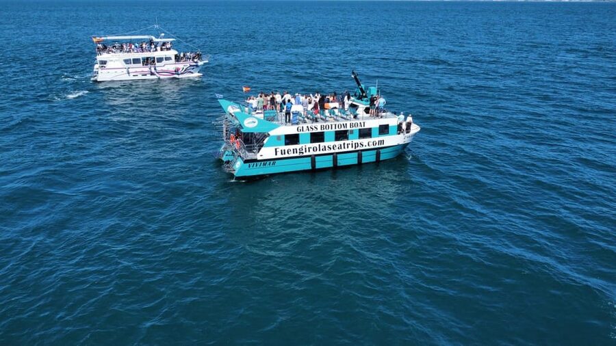 Fuengirola: Catamaran Tour to Spot Dolphins - Finding the right spot on the catamaran