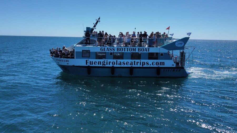 Fuengirola: Catamaran Tour to Spot Dolphins - What the two-hour route feels like