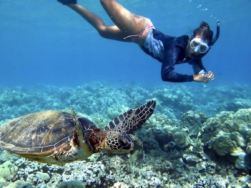Fuerteventura : Catamaran excursion to Lobos Island - Who will enjoy this Lobos Island outing