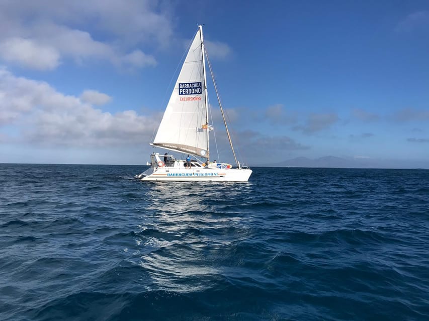 Fuerteventura : Catamaran excursion to Lobos Island - Should you book the Barracuda Perdomo catamaran?