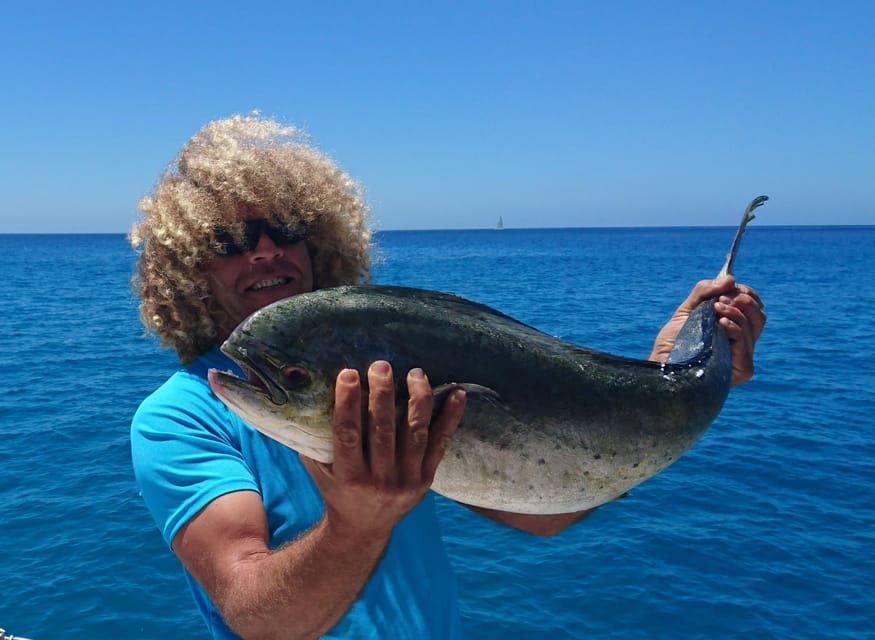 Fuerteventura: Catamarán navegación a vela y delfines. - Is $112 a fair price?