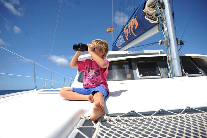 Fuerteventura: Catamarán navegación a vela y delfines. - Timing, language, and practical details