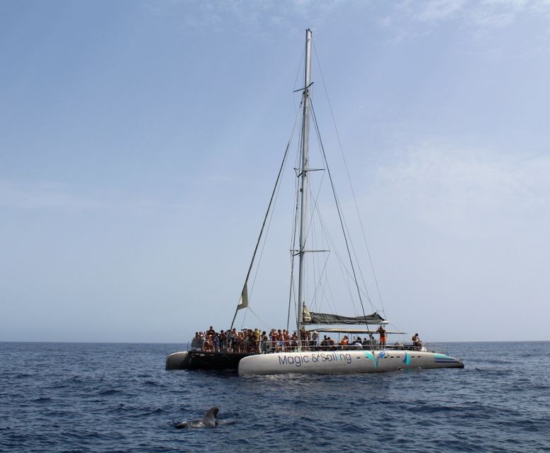 Fuerteventura: Magic Catamaran Trip with Food and Drinks - A relaxed cruise, not a traditional sailing lesson