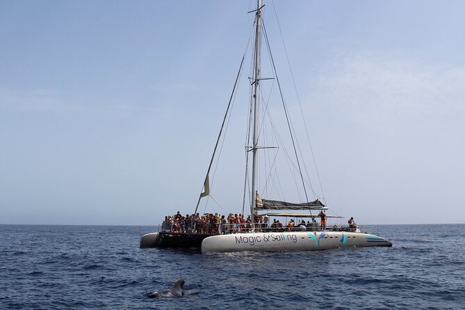 Fuerteventura: Magic Select Catamaran Trip with Food & Drinks - Lunch, drinks, music, and a social mood