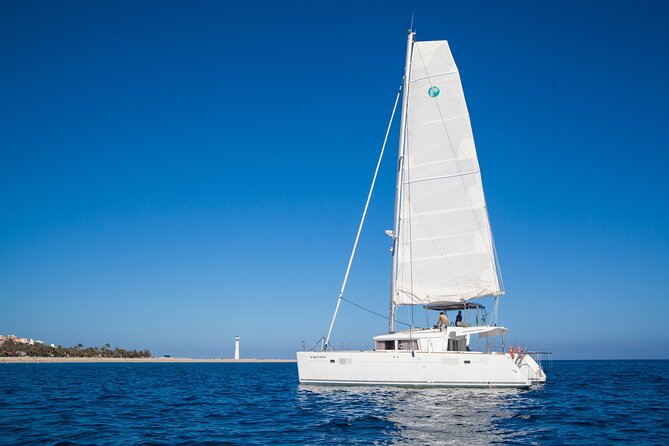 Fuerteventura: Small-Group Magic Deluxe Catamaran Cruise - Swimming in the Atlantic near Jandía