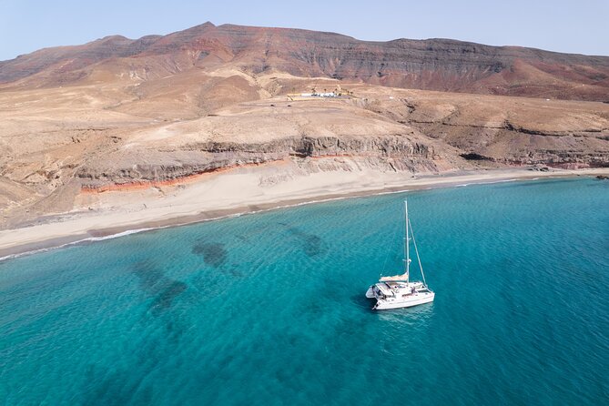 Fuerteventura: Small-Group Magic Deluxe Catamaran Cruise - Is the $119.72 price fair?