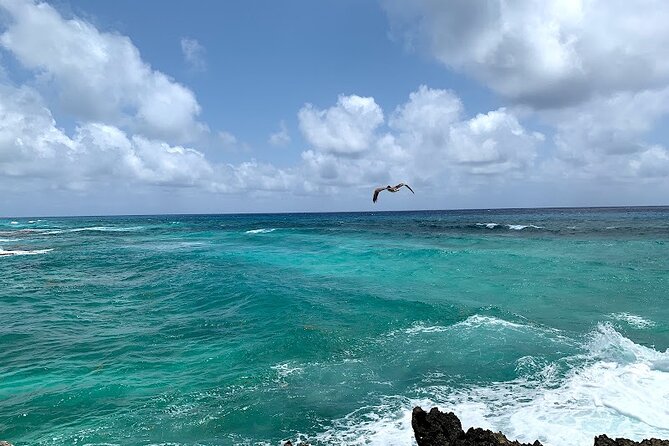 Full-Day Catamaran Cozumel Tour with Sky Snorkeling - Why this Cozumel day works well