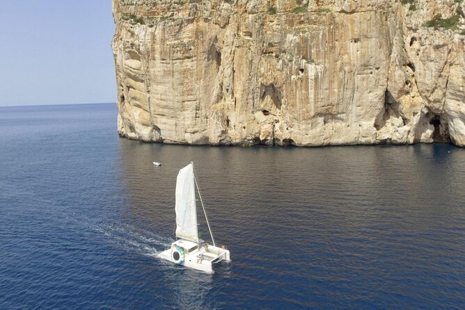 Full day Catamaran cruise in Porto Conte Natural Park - Is $195.26 a fair price?