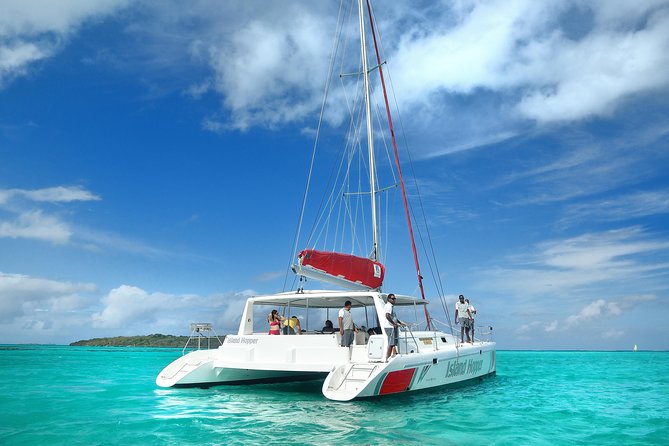 Full-Day Catamaran Cruise to Île aux Cerfs with BBQ Lunch - BBQ lunch, pineapple, and a well-stocked drinks table