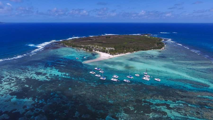 Full Day Catamaran Luxury Cruise to Northern Islands w Lunch - Who will enjoy this catamaran day