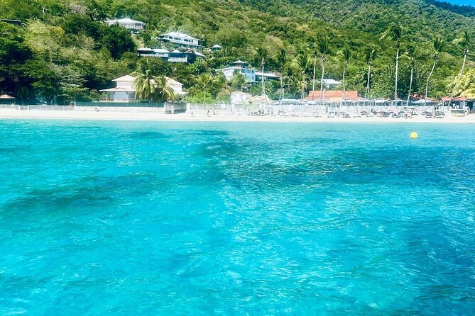 Full day EN Catamaran Martinique Dolphins and Turtles - Anse Noir and its black-sand beach
