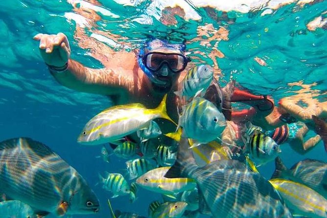 Full-Day Luxurious Catamaran Adventure - Cancún to Isla Mujeres - Playa Norte and Downtown Isla Mujeres