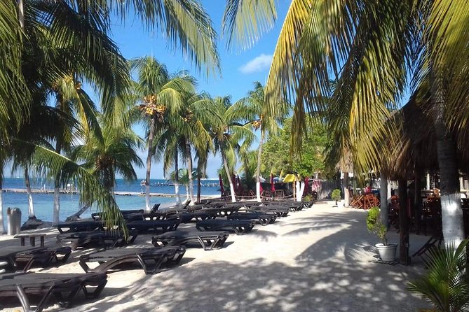 Full-Day Luxurious Catamaran Adventure - Cancún to Isla Mujeres - Who Will Enjoy This Day Most