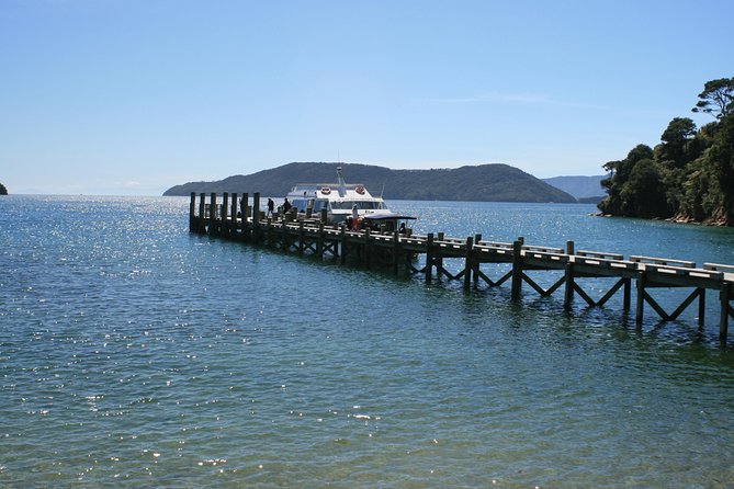 Full-Day Marlborough Catamaran Cruise with Wine Tour and Lunch - Two Marlborough classics in one long day