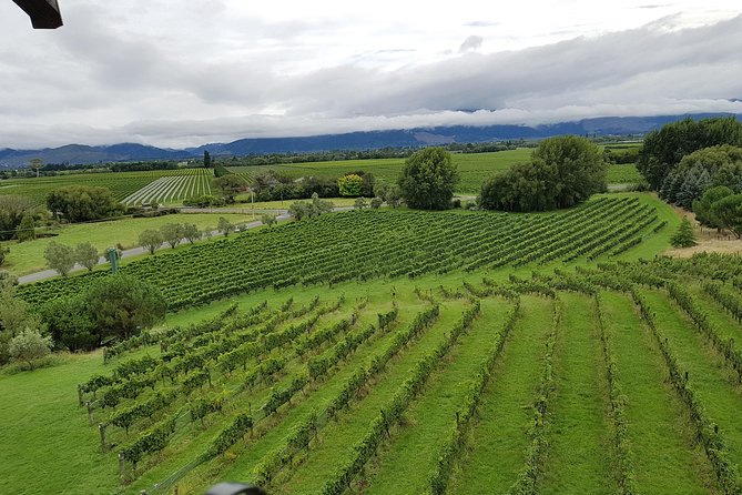 Full-Day Marlborough Catamaran Cruise with Wine Tour and Lunch - Should you book the Marlborough catamaran and wine tour?