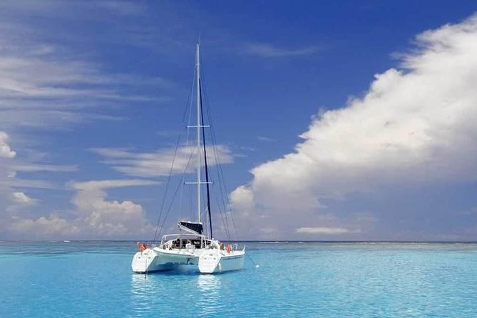 Full-Day Northern Catamaran Cruise: Coin de Mire and Ile Plate Island - Crew Service and the Mood Onboard