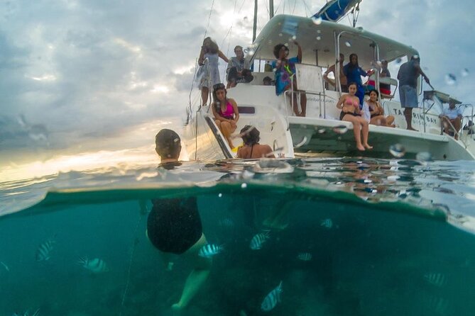 Full Day Private Catamaran Cruise to Bénitiers Island - Looking for dolphins at Tamarin Bay