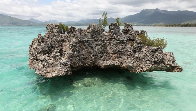 Full Day Private Catamaran Cruise to Bénitiers Island - Snorkeling near La Preneuse