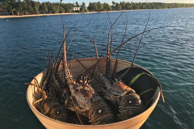 Full-Day Private Catamaran, Turks and Caicos Cruise - Pine Cay and two miles of North Shore beach