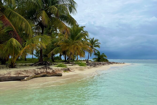 Full-Day Private Catamaran, Turks and Caicos Cruise - Little Water Cay, also called Iguana Island