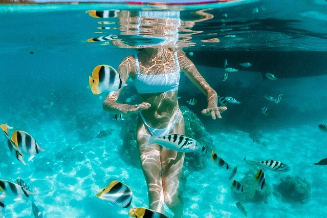Full Day Tour : Moorea Snorkeling & Sunset Cruise on a Catamaran named Taboo - Meeting Taboo at Voil’a Moorea