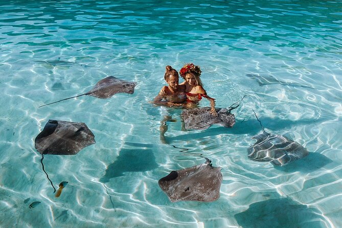 Full Day Tour : Moorea Snorkeling & Sunset Cruise on a Catamaran named Taboo - Cook’s Bay and Opunohu Bay near sunset